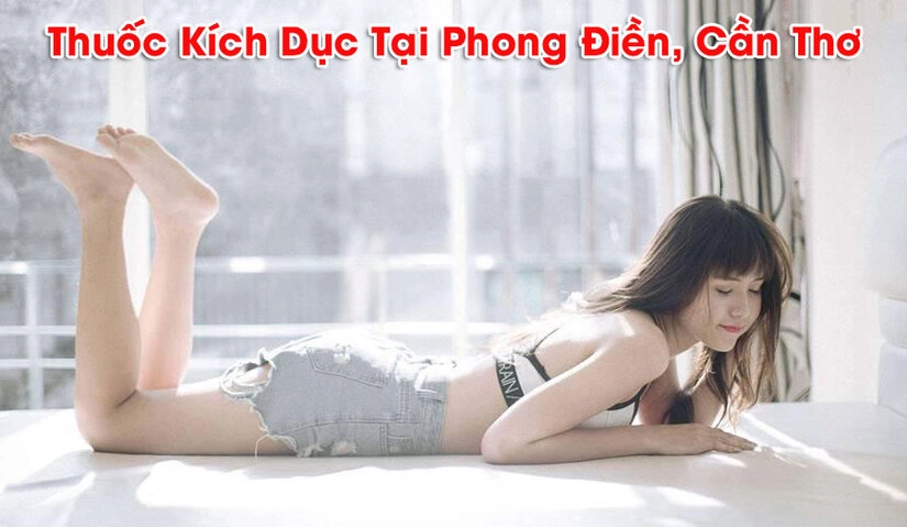 Các sản phẩm mà chúng tôi hiện đang cung cấp