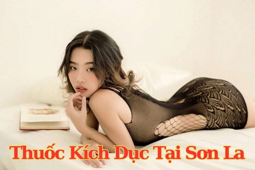 Các dòng sản phẩm mà chúng tôi hiện đang cung cấp