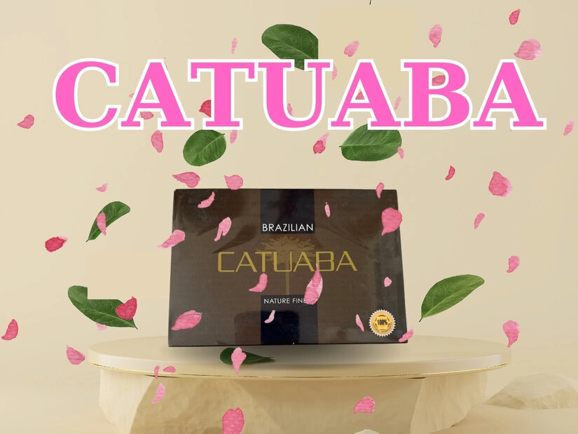 Giới thiệu sản phẩm thuốc kích dục nam Catuaba