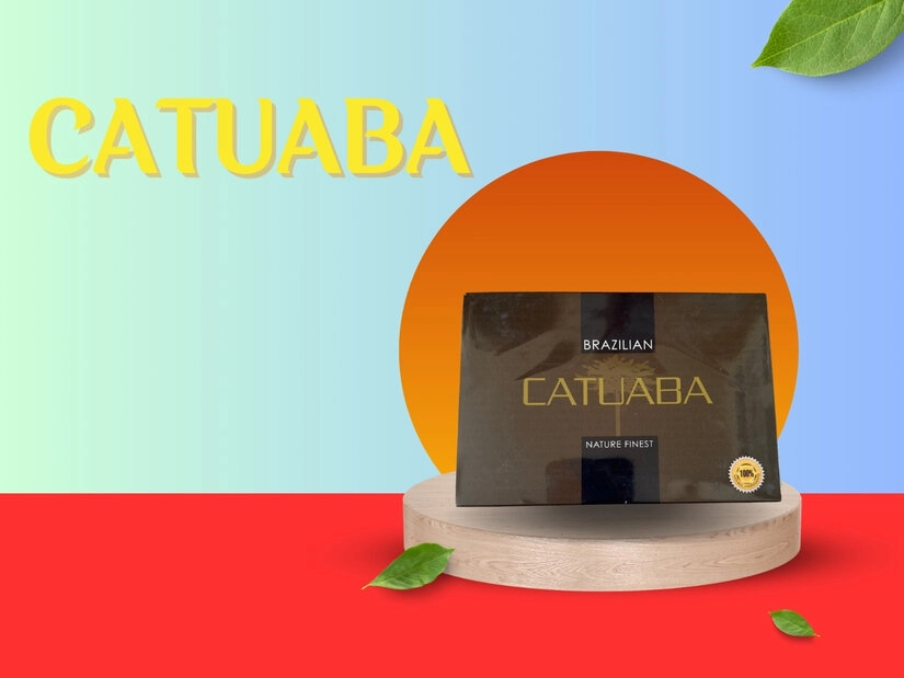 Các thành phần chính của thuốc kích dục nam Catuaba