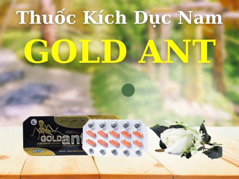 Giới thiệu sản phẩm thuốc kích dục nam Gold Ant