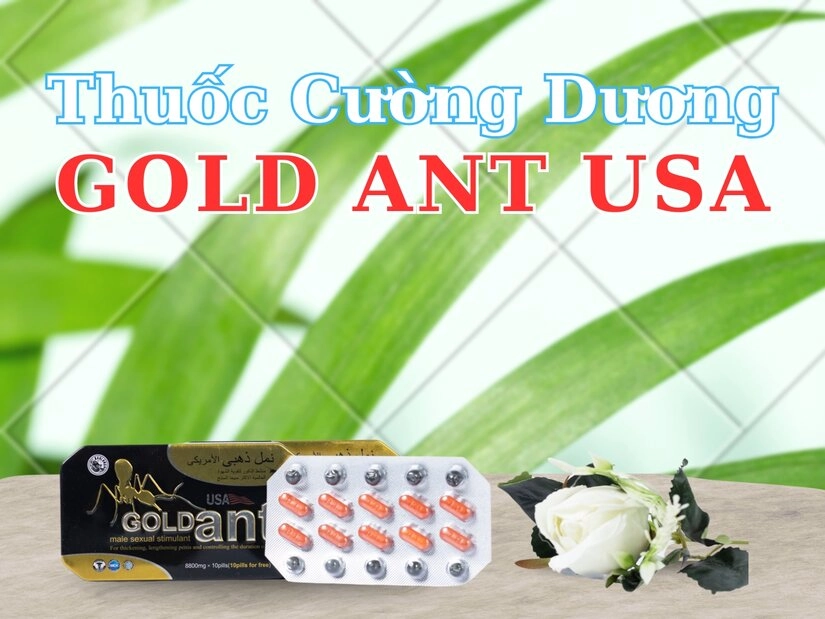 Hướng dẫn sử dụng thuốc cường dương Gold Ant USA