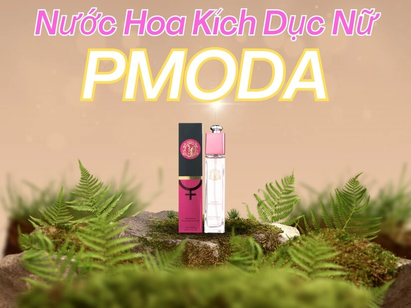 Nước hoa Nam kích dục nữ Pmoda