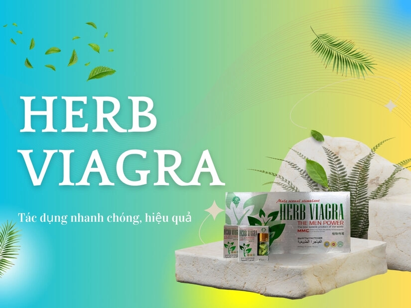 Thuốc kích dục nam Herb Viagra - (Thái Lan - Thailand)