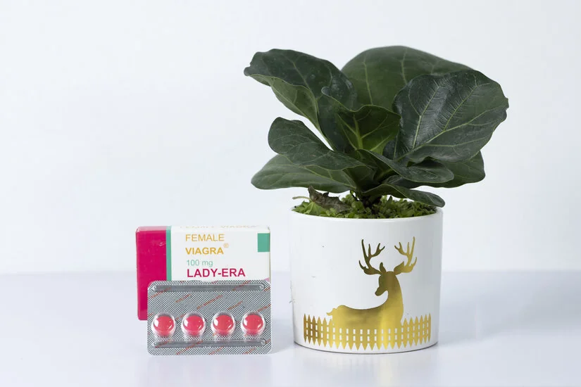 Thuốc kích dục nữ Lady Era (Dạng viên)