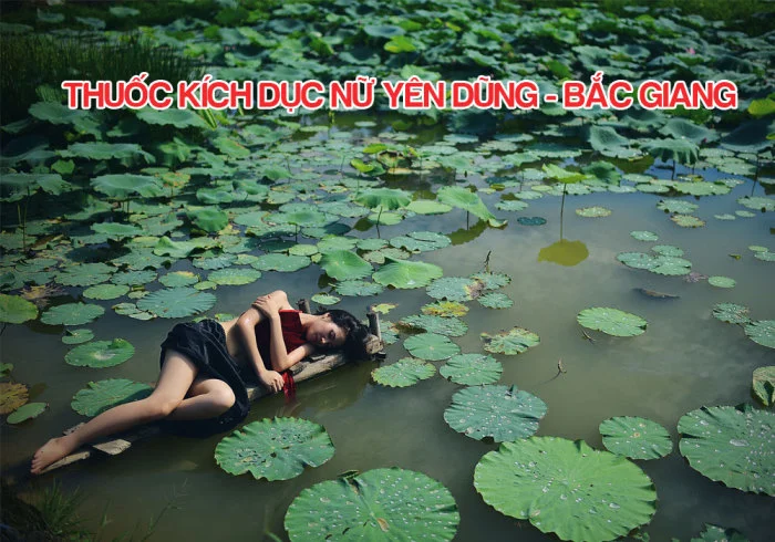 Thuốc Kích Dục Nữ Yên Dũng, Bắc Giang